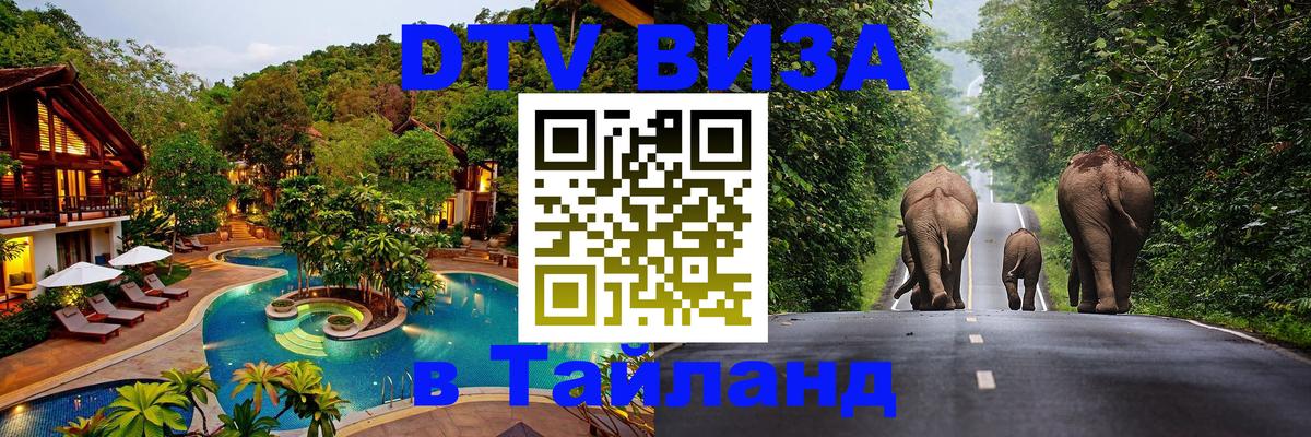 Оформление DTV визы под ключ: стоимость и тарифы, только загранпаспорт - 09.01.2026 